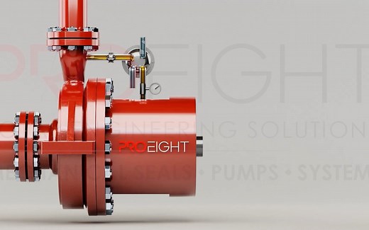 21机封冲洗方案