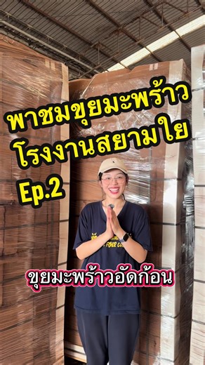 ขุยมะพร้าวแบบอัดก้อน สะดวก ใช้งานง่าย แต่รดน้ำ ก็พร้อมใช้งานแล้วค่ะ #ขุยมะพร้าว #ขุยมะพร้าวอัดก้อน #กระแสมาแรง #ป้ายยา #ดันขึ้นฟีดที