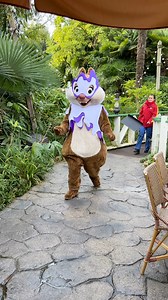 27K views · 2.2K reactions | Chip and Dale arrive for their Halloween meet and greet at Disneyland Paris, dressed as ghosts! #disneylandparis #dlp #dlrp #chipanddale #chipndale #disneyhalloween #disneycharacters | Mousesteps | Facebook