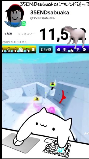 #catmemes