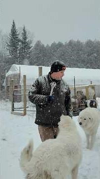 5 Things You Need on a Vermont Farm in the Winter #ad