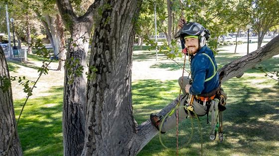 Modesto non-profit rescues stranded animals from trees