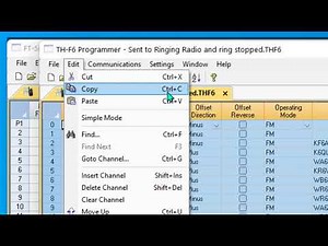 Copy and Paste with RT Systems Programmer