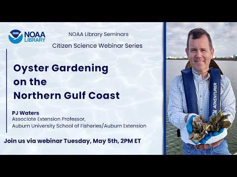Oyster Gardening on the Northern Gulf Coast