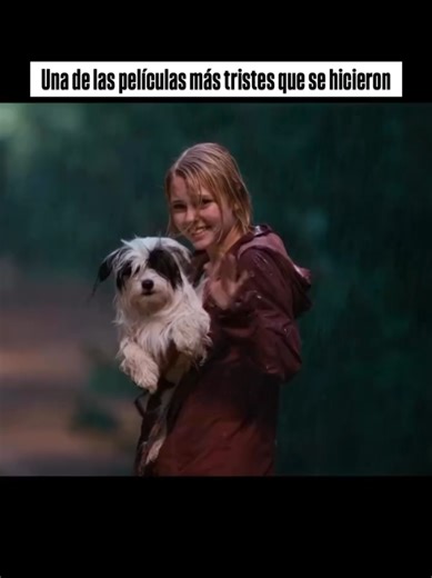 Películas de Drama Recomendadas