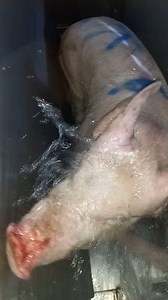 Bathing at stunning box | Jonald Abarquez