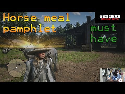 Red Dead Redemption 2 Online Horse Meal Pamphlet Tutorial Locations {Online Beta}