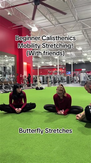 Beginner Friendly Mobility Stretches for Flexibility