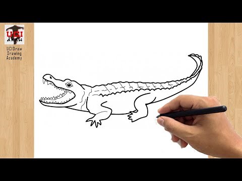 Crocodile Drawing Easy | How to Draw a Crocodile Sketch | Croc Outline Art Step by Step