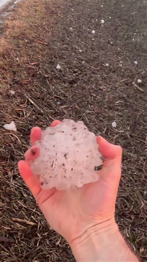 Giant Softball Hailstones - Kankakee, IL - March 10, 2026 #hailstorm #weather #storm