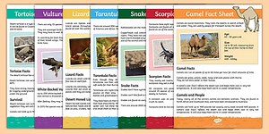 Desert Animals Fact File Sheets