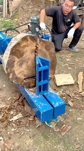 Splitting Large Tree Logs into Smaller Pieces Using a Hydraulic Wood Splitter