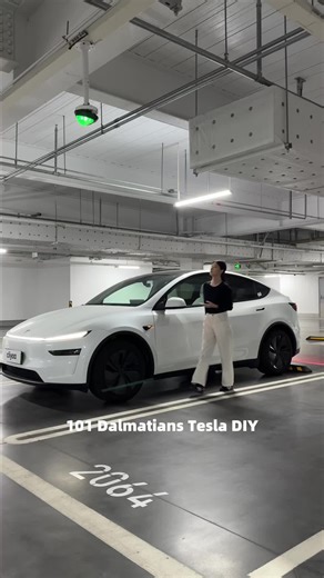 Transforming a Tesla with 101 Dalmatians Theme
