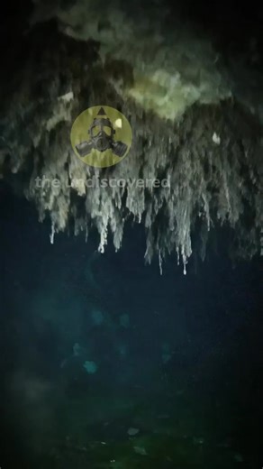 99K views · 1.8K reactions | #antarcticasecrets #extraterrestrial #UFO #theundiscovered | the undiscovered | Facebook