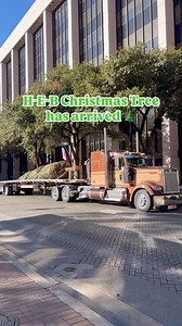 33K views · 2.6K reactions | A 40-foot tree traveled more than 2,000...