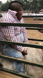 Where They Buck from South America. TV Anchor mounting one out yesterday in Lima, Peru. Listen for the true moan of pain after hitting the ground. Priceless. | Where They Buck