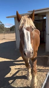 4.3K views · 90 reactions | Summer is gearing up, and it’s going to...