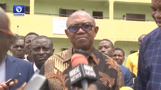 37K views · 841 reactions | My Presence At Pope’s Inauguration Not Political – Obi | Channels Television | Facebook