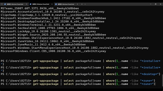 重置APPXPACKAGE程序包