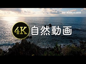 【🎥4K自然ビデオ動画✨】YouTubeで4Kテレビの綺麗さを確認🏔自然・植物・動物 作業用BGM / 4K ULTRA HD test video for new television