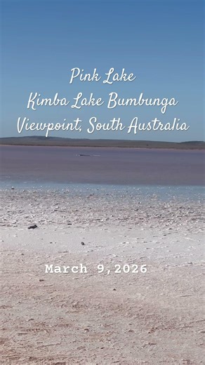 Pink Lake in South Australia