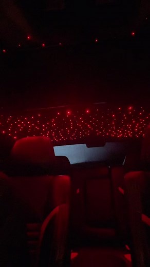 Night out ! ✨ #wondamo #mavin | rema and ayra star