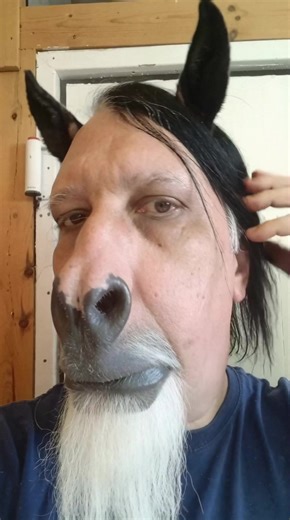 #brainrot #horse #meme #viral #fyp | horse meme