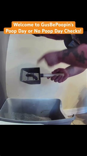 Daily Poop Update: Gus the Megacolon Kitty! (01.11.26 video)