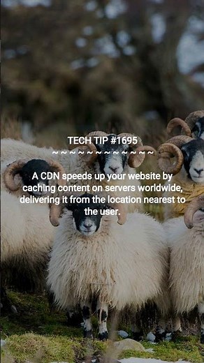 How CDNs Make Websites Faster | 2025-12-12 | #Shorts #dotKey #systemadmintips #TechTips