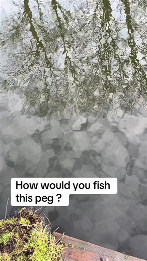 How woud fish this peg 8f down the middle there is pike perch tench roach Rudd and carp match fishing tips uk match fishing tips uk match fishing uk match fishing tips and tricks fishing syston uk canal match fishing fishing in uk match fishing uk match fishing tips and tricks fishing syston uk canal match fishing fishing in uk #matchfishing #fyp