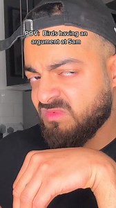 Birds having an argument at 5am | theofficial_azz