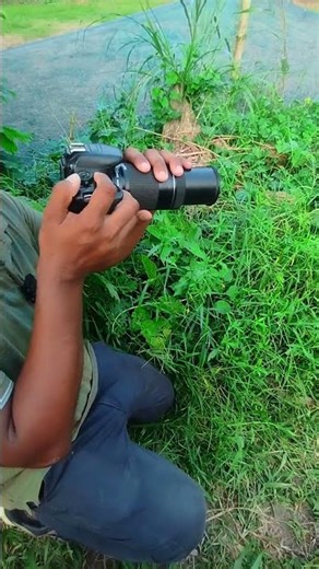 অনুষ্ঠান|wedding programme