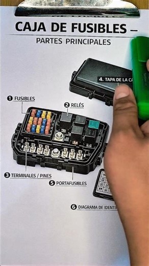 Automotive Fuse Box (Detailed) 😱📚✅ #automobile #fuse #relay #mechanics #automotive