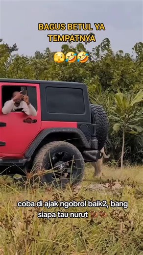 Momen Kaget Lucu di Taman Safari