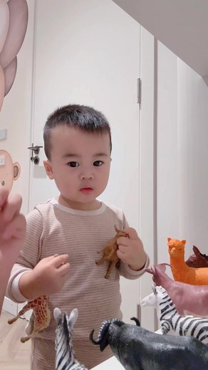 Đoán tên con vật bằng tiếng Anh cho trẻ em - trò chơi Tùng đoán con vật