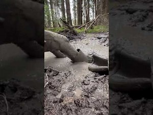Muddy Rubber boots