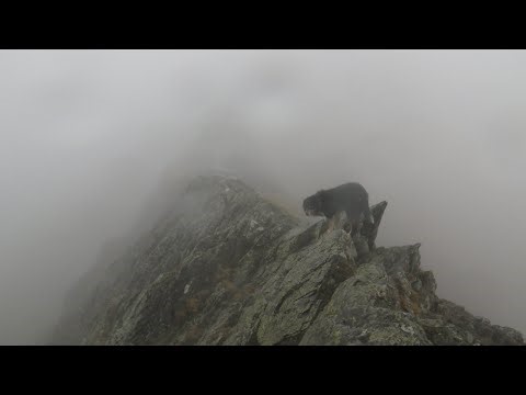 Sharp Edge, Blencathra, April 9th 2026