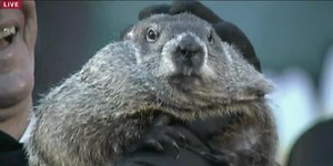 Groundhog Day, Punxsutawney Phil to go virtual in 2021
