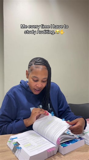 The Struggles of Auditing: A Student's Perspective