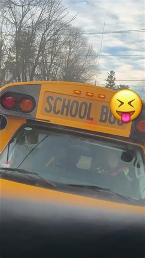 Doing rock paper scissor with a random bus driver ￼