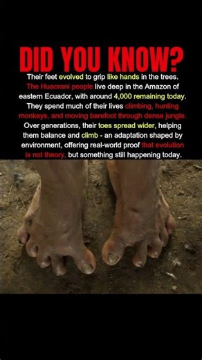 The Only People Whose Feet Grip Like Hands #shorts #evolution #indigenous