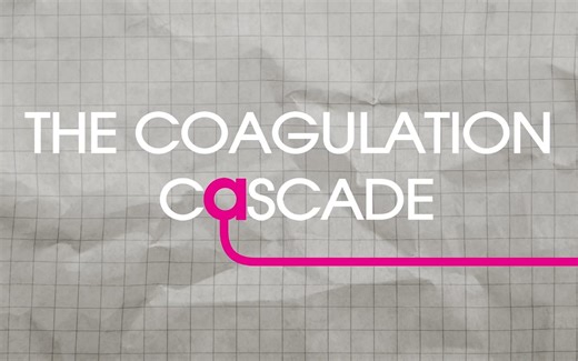 生理性止血Coagulation Cascade_Explained