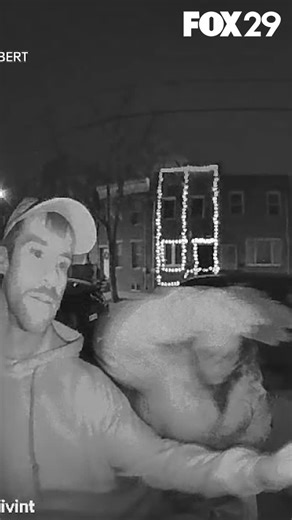 FOX 29 on Instagram: "GOOD DEED: A Philadelphia woman is hoping to thank two strangers who went the extra mile to return her lost purse, even ensuring her wallet was left safely in her secured mailbox."