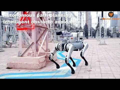 Robot Dog for Power Plant and Grid Inspection