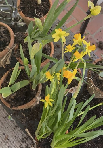 Easter Shoot Preparation: Join the Fun!