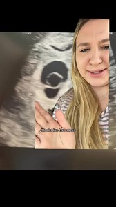 205K views · 1K reactions | Babies 7 & 8 at the same time would be nice  #vlog #6kids #moms #momlife #youngmom #momsoffb #momof6 #ditlofamom #bigfamily #pregnant #pregnancy #preggo #pregnancyjourney | Christina Stanley | Facebook