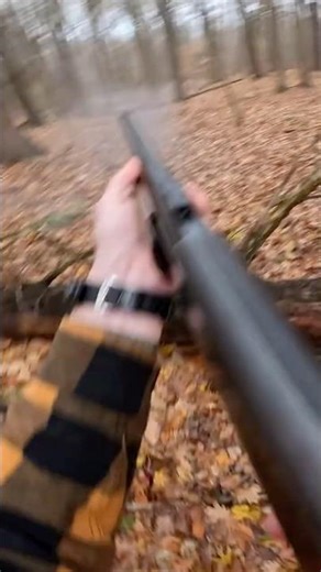 Public Land - Still Hunting Success