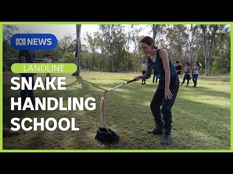 Snake Handling School: Coming to grips with snakes | Landline | ABC NEWS