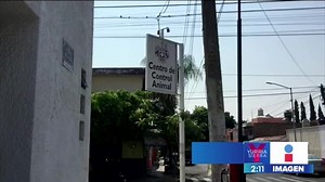 31K views · 1.4K reactions | Liberan a "Pirata", el pitbull que mató a un ladrón en Jalisco. El perrito regresó a su hogar tras estar en un centro de control animal donde vigilaron su comportamiento. | Imagen Noticias | Facebook