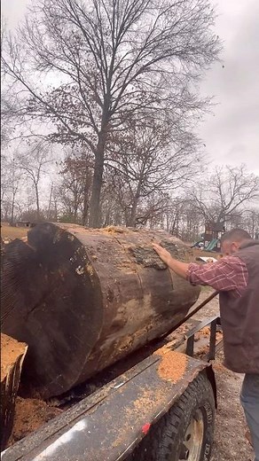 Moving huge Oak Logs from the tree service 🙏🪵🙌